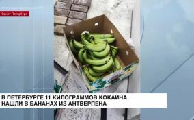 11 килограммов кокаина обнаружили таможенники на территории Большого порта в Петербурге