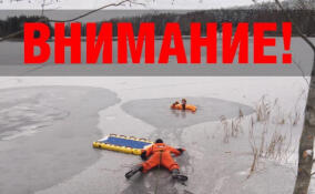 Жителей Ленобласти предупредили о разрушении ледового покрытия на водоёмах