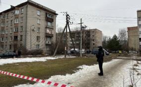 Шестеро жителей дома на Пискаревском проспекте обратились в больницы за помощью