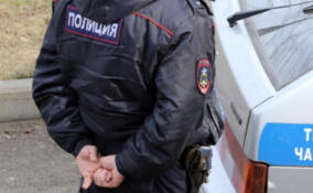 Жителя Красного Бора задержали за нападение со стамеской на гражданина Белоруссии