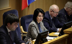 Анна Данилюк рассказала, как обеспечат прозрачность выборов в Ленобласти