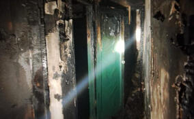 Двое человек пострадали при пожаре в квартире в деревне Старая