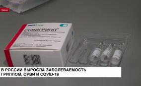В России выросла заболеваемость гриппом, ОРВИ и COVID-19