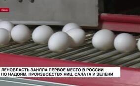 Ленобласть заняла первое место в России по надоям, производству яиц, салата и зелени