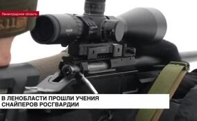 В Ленинградской области прошли учения снайперов Росгвардии