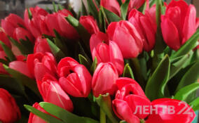 Плюсовая температура будет в Ленинградской области 8 марта