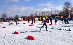 Около 500 спортсменов объединил 44-й традиционный лыжный марафон в Гатчине