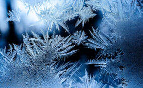 До -15 градусов похолодает в Ленобласти в ночь на 9 марта