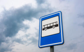 Комитет по транспорту Ленобласти проверил 16 региональных автобусных маршрутов