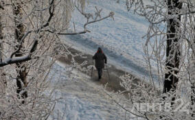 Сухо и до +4 градусов: о погоде в Ленобласти 11 марта