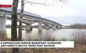 В Киришском районе выбирают название для нового моста через реку Волхов