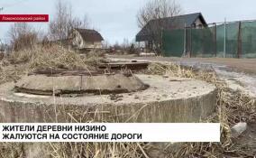 Жители деревни Низино Ломоносовского района жалуются на состояние дороги