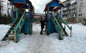 Прокуратура заинтересовалась состоянием детской площадки в Токсово