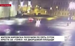 По пять суток ареста получили два жителя Кировска за «гонку» на Дворцовой площади