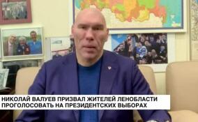Николай Валуев призвал жителей Ленобласти проголосовать на президентских выборах
