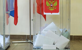 В Ивангороде будет работать избирательный участок для россиян, проживающих за рубежом