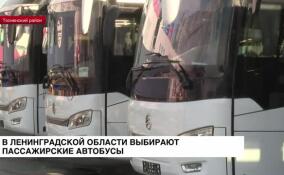 В Ленинградской области выбирают пассажирские автобусы