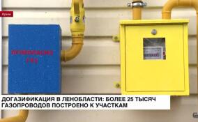 Догазификация в Ленобласти: более 25 тысяч газопроводов построено к участкам