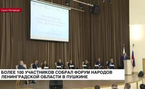 Более 100 участников собрал форум народов Ленинградской области в Пушкине