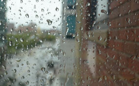 Ветер и дождь: о погоде в Ленобласти 15 марта