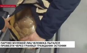 Незаконный вывоз из России партии муляжей лица человека пресекли кингисеппские таможенники