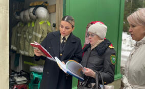 Госэконадзор Ленобласти напомнил представителям туркомплекса в Подпорожье правила пожарной безопасности