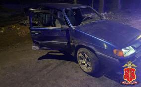 ВАЗ влетел в дерево в Волхове: один пассажир погиб, трое пострадали