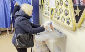 Жители Кудрово активно участвуют в выборах президента РФ