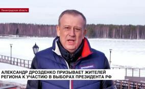 Александр Дрозденко призывает к участию в выборах президента РФ