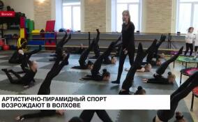 Артистично-пирамидный спорт возрождают в Волхове