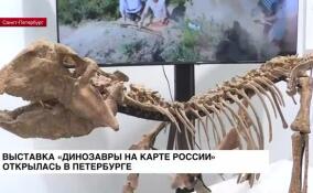 Выставка «Динозавры на карте России» открылась в Петербурге