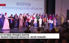 В Гатчине прошел форум Ленинградской области «Всей семьей»
