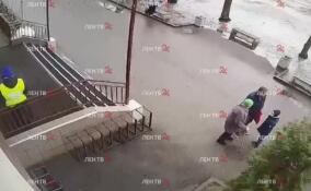 В Петербурге девушка метнула коктейль Молотова в дверь школы №385 – видео