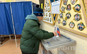 На 18 часов явка избирателей в Ленобласти составила почти 29%
