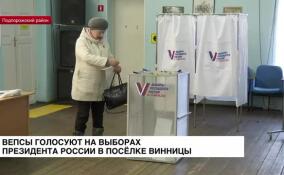 Вепсы голосуют на выборах президента России в селе Винницы