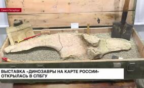 Выставка «Динозавры на карте России» открылась в СПбГУ