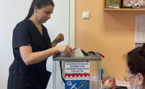 Врачи и пациенты Тосненской больницы отдали свой голос на выборах президента России