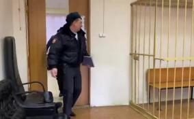 Суд арестовал студентку за попытку поджога избирательного участка в Петербурге