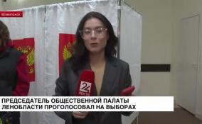Председатель Общественной палаты Ленобласти проголосовал на выборах