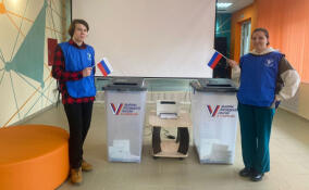 Более 350 волонтеров помогают на выборах президента в Ленобласти
