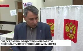 Председатель Общественной палаты Ленобласти проголосовал на выборах