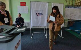 Два часа остается до закрытия избирательных участков в Ленобласти