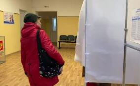 Жители Отрадного активно посещают свой избирательный участок