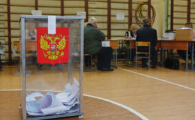 В Ленобласти закрылись избирательные участки