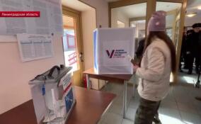 Подготовка выборов в Ленинградской области: как это было