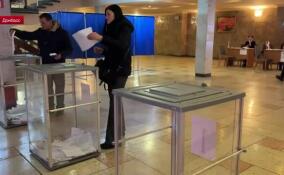 Голосование вопреки опасности: в Донбассе прошли выборы президента России