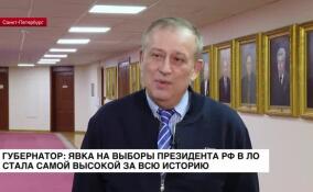 Губернатор: явка на выборах президента РФ в Ленобласти стала самой высокой за всю историю