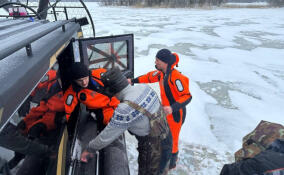 За неделю спасатели 17 раз выезжали на помощь жителям Ленобласти