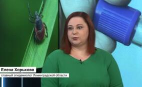 Елена Хорькова рассказала, насколько эффективна вакцинация от клещевого энцефалита