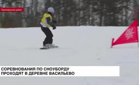 Соревнования по сноуборду прошли в деревне Васильево